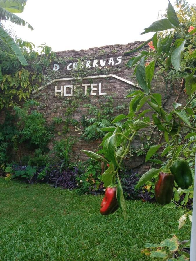 Dch Hostel Backpaquers كونكورديا المظهر الخارجي الصورة