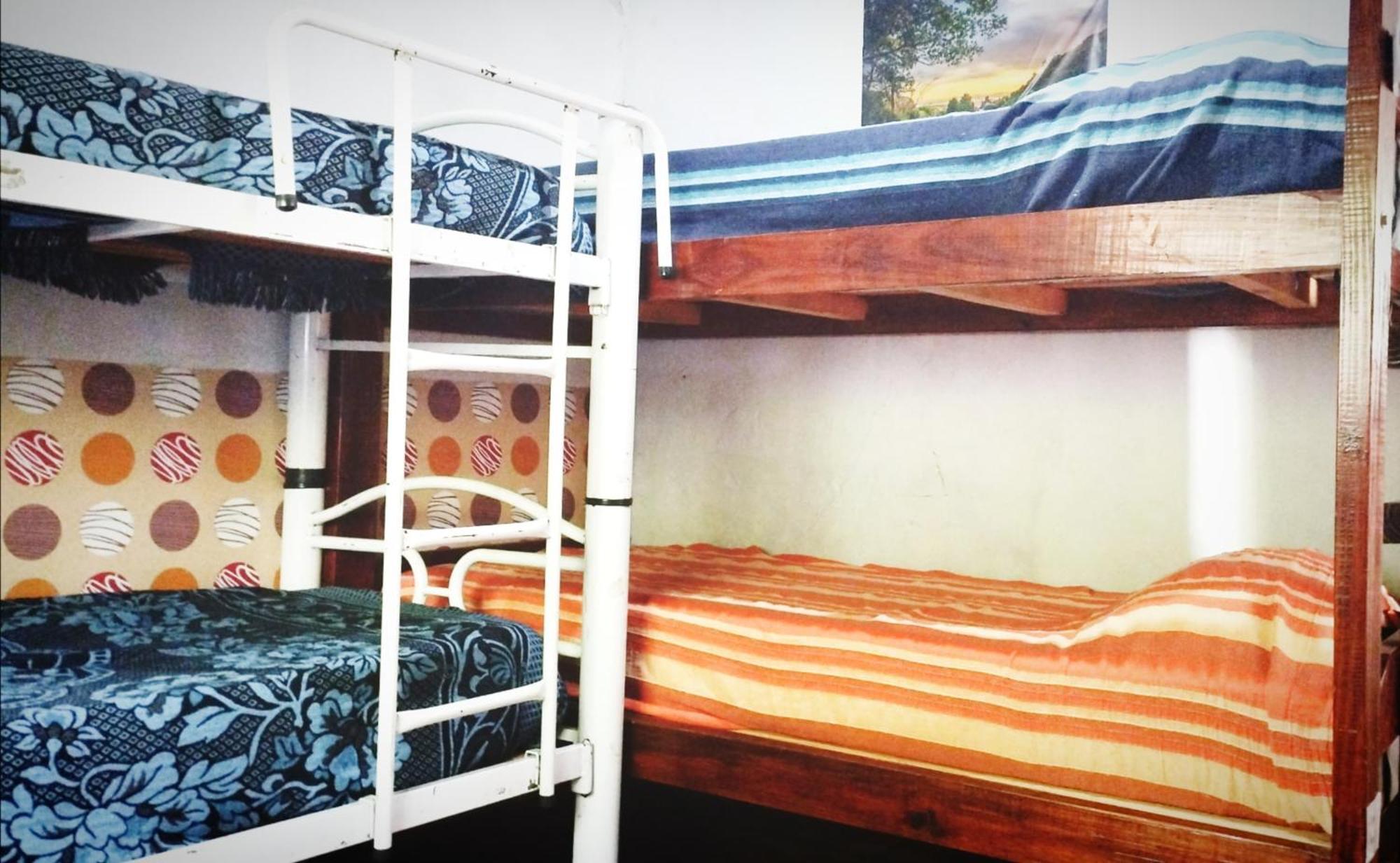 Dch Hostel Backpaquers كونكورديا المظهر الخارجي الصورة