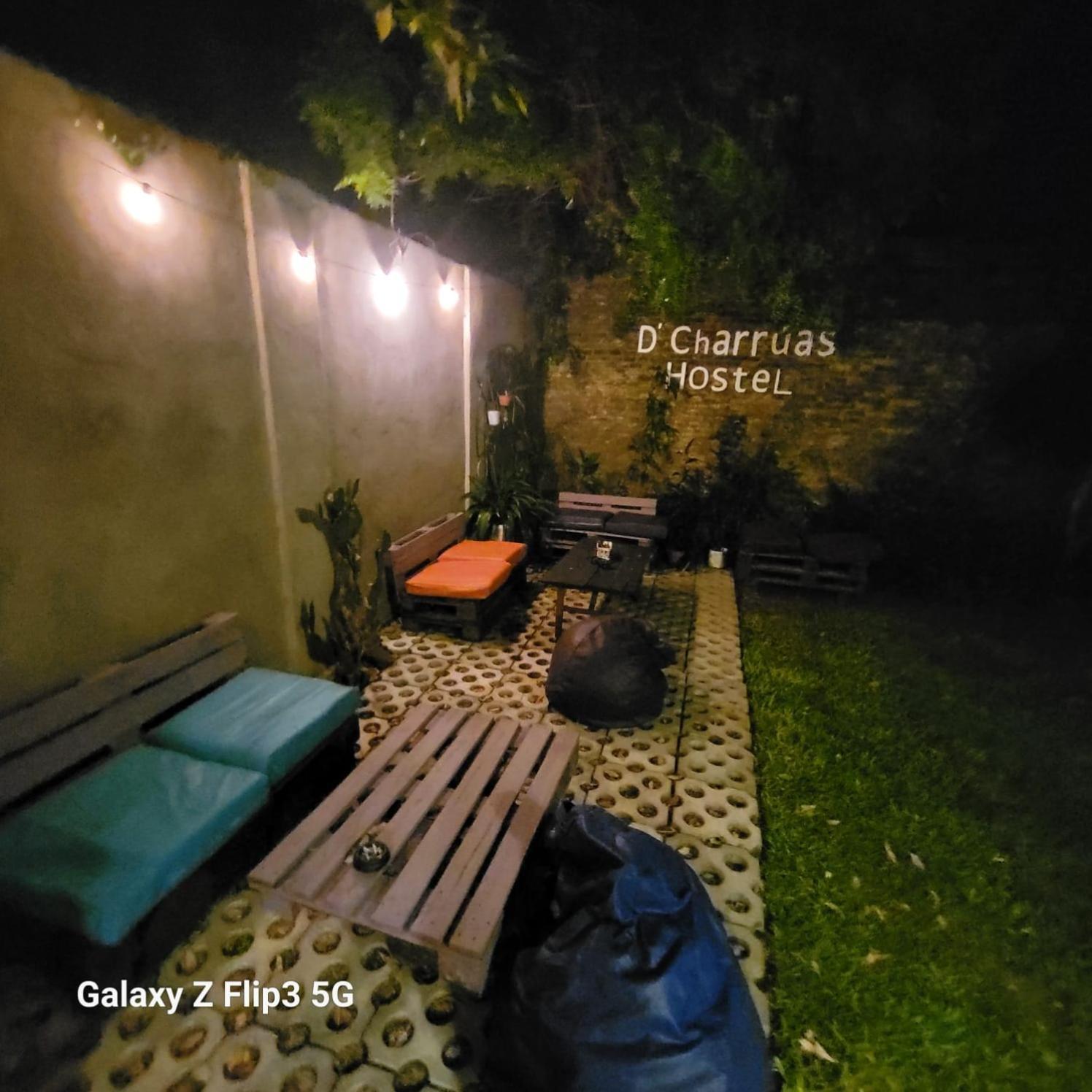 Dch Hostel Backpaquers كونكورديا المظهر الخارجي الصورة